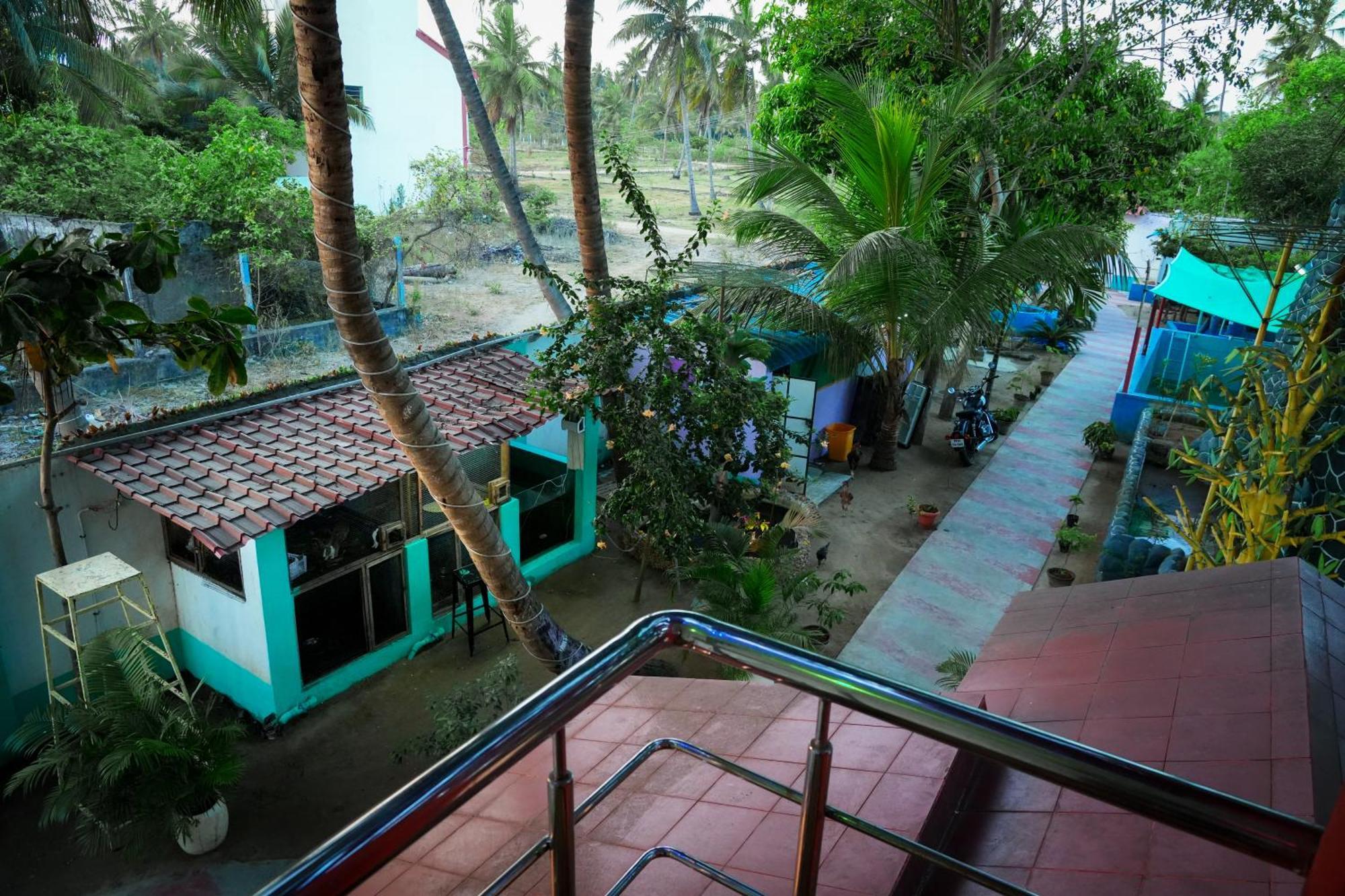 Victoria'S River View Resort 蓬蒂切里 外观 照片